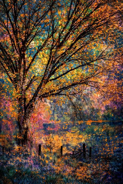 Colorful Autumn Tree Wall Decor  Acrylic Wall Art – Golden Leaves  – Modern Home Decor