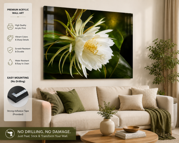 Premium White Night Blooming Flower Acrylic Wall Art | Frameless Gloss Finish