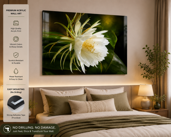 Premium White Night Blooming Flower Acrylic Wall Art | Frameless Gloss Finish