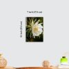 Premium White Night Blooming Flower Acrylic Wall Art | Frameless Gloss Finish