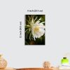 Premium White Night Blooming Flower Acrylic Wall Art | Frameless Gloss Finish