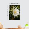 Premium White Night Blooming Flower Acrylic Wall Art | Frameless Gloss Finish
