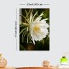Premium White Night Blooming Flower Acrylic Wall Art | Frameless Gloss Finish