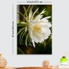 Premium White Night Blooming Flower Acrylic Wall Art | Frameless Gloss Finish