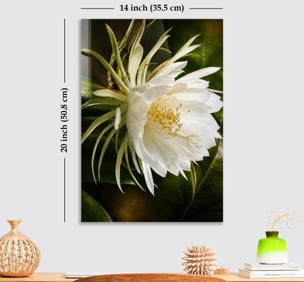 Premium White Night Blooming Flower Acrylic Wall Art | Frameless Gloss Finish