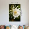 Premium White Night Blooming Flower Acrylic Wall Art | Frameless Gloss Finish
