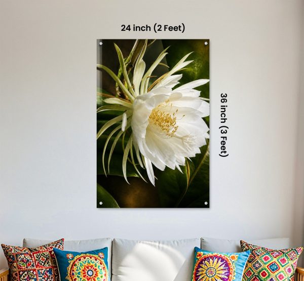 Premium White Night Blooming Flower Acrylic Wall Art | Frameless Gloss Finish