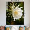 Premium White Night Blooming Flower Acrylic Wall Art | Frameless Gloss Finish