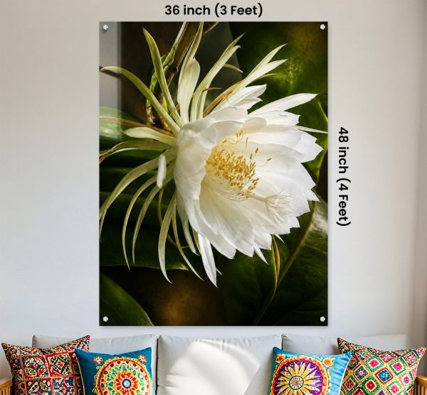 Premium White Night Blooming Flower Acrylic Wall Art | Frameless Gloss Finish